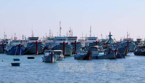 Cấm tàu thuyền huyện đảo Phú Quý ra khơi từ 19 giờ ngày 12/12 ảnh 1
